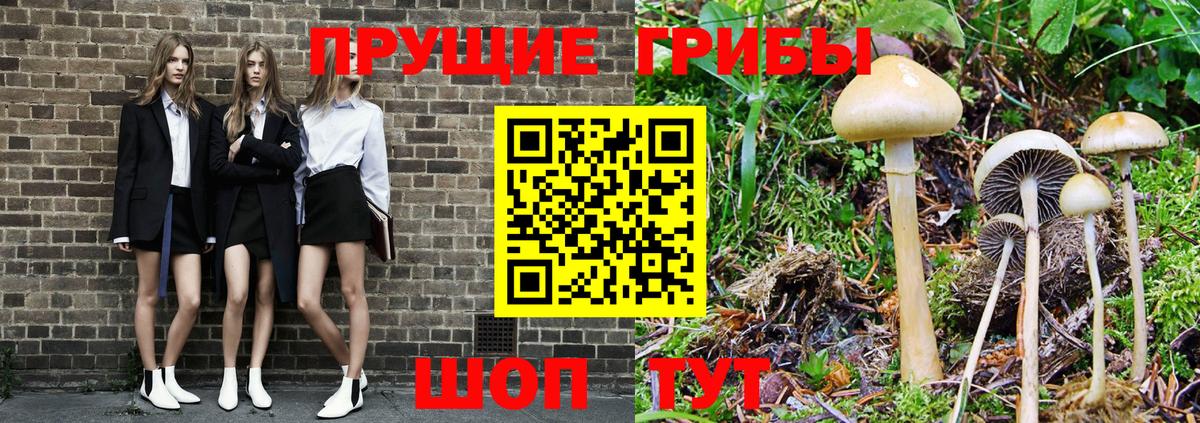 Псилоцибиновые грибы прущие грибы  Галлюциногенные грибы Cubensis  Вход с VPN  Пыть-Ях 