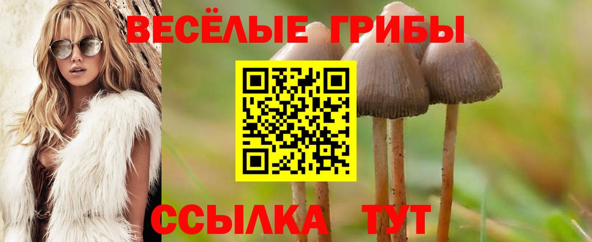 Галлюциногенные грибы MAGIC MUSHROOMS Пыть-Ях